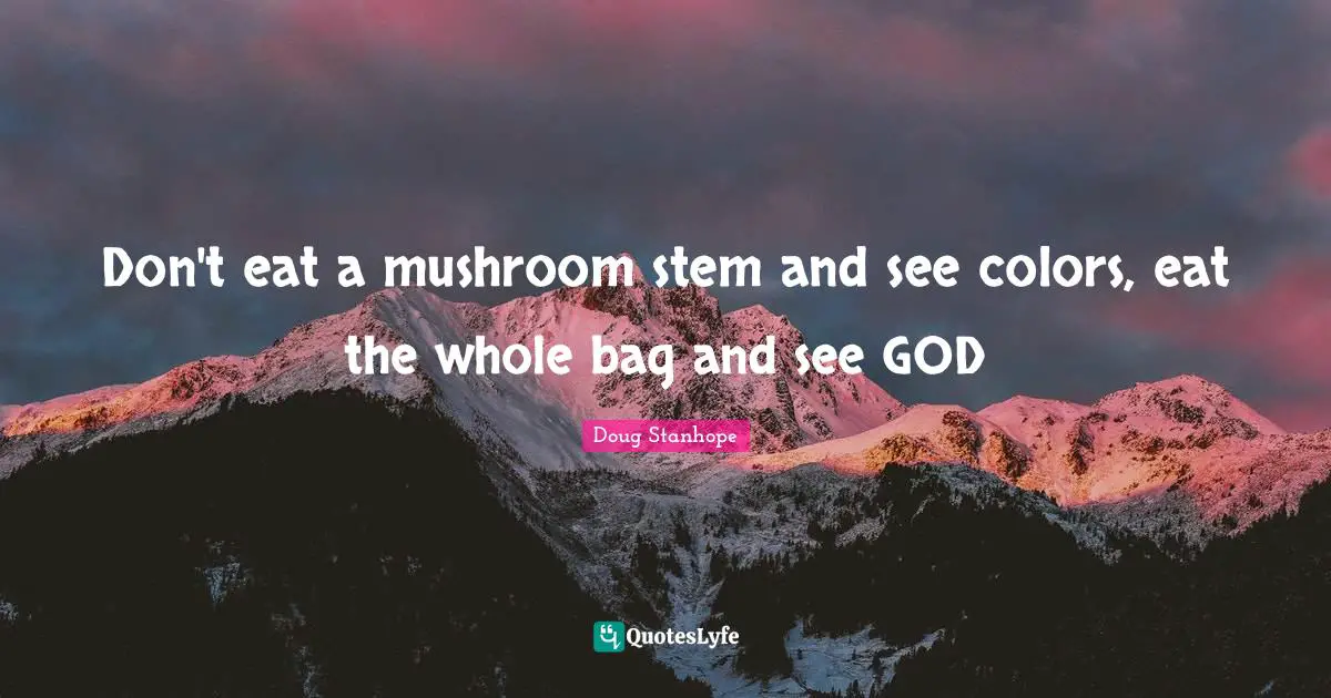 Stem Quotes: "Don't eat a mushroom stem and see colors, eat the whole bag and see GOD"