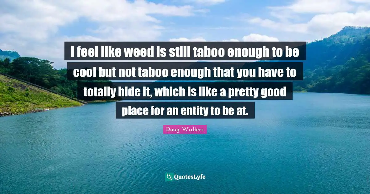Doug Walters Quotes: "I feel like weed is still taboo enough to be cool but not taboo enough that you have to totally hide it, which is like a pretty good place for an entity to be at."