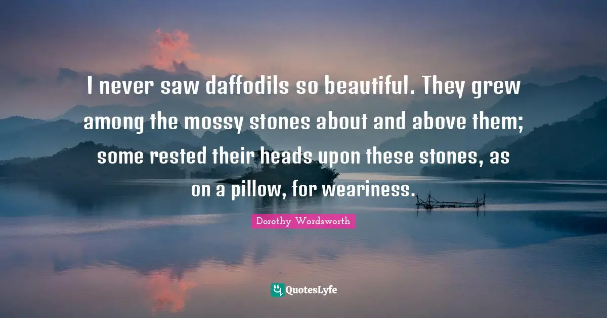 Stones Quotes: "I never saw daffodils so beautiful. They grew among the mossy stones about and above them; some rested their heads upon these stones, as on a pillow, for weariness."