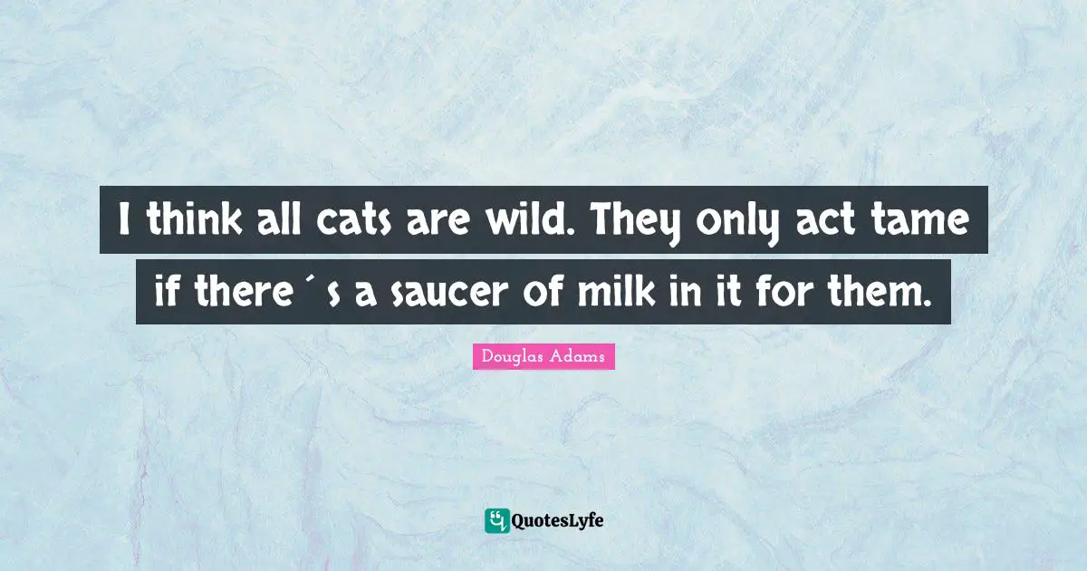 I think all cats are wild. They only act tame if there´s a saucer of milk in it for them.