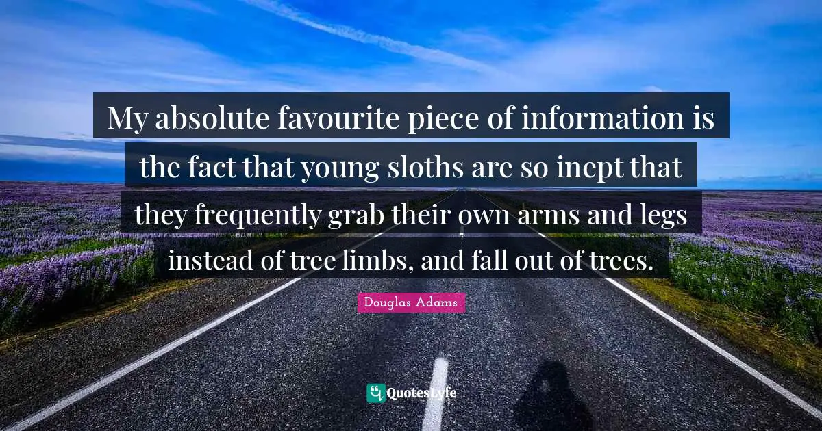 Sloth Quotes: "My absolute favourite piece of information is the fact that young sloths are so inept that they frequently grab their own arms and legs instead of tree limbs, and fall out of trees."