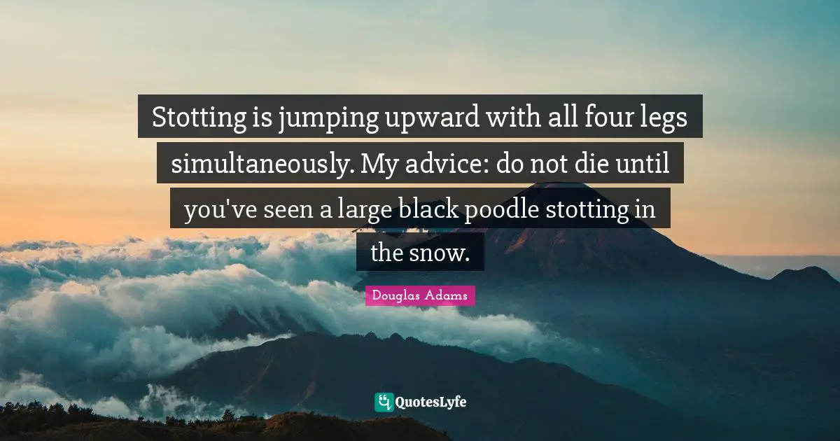 Stotting is jumping upward with all four legs simultaneously. My advice: do not die until you've seen a large black poodle stotting in the snow.
