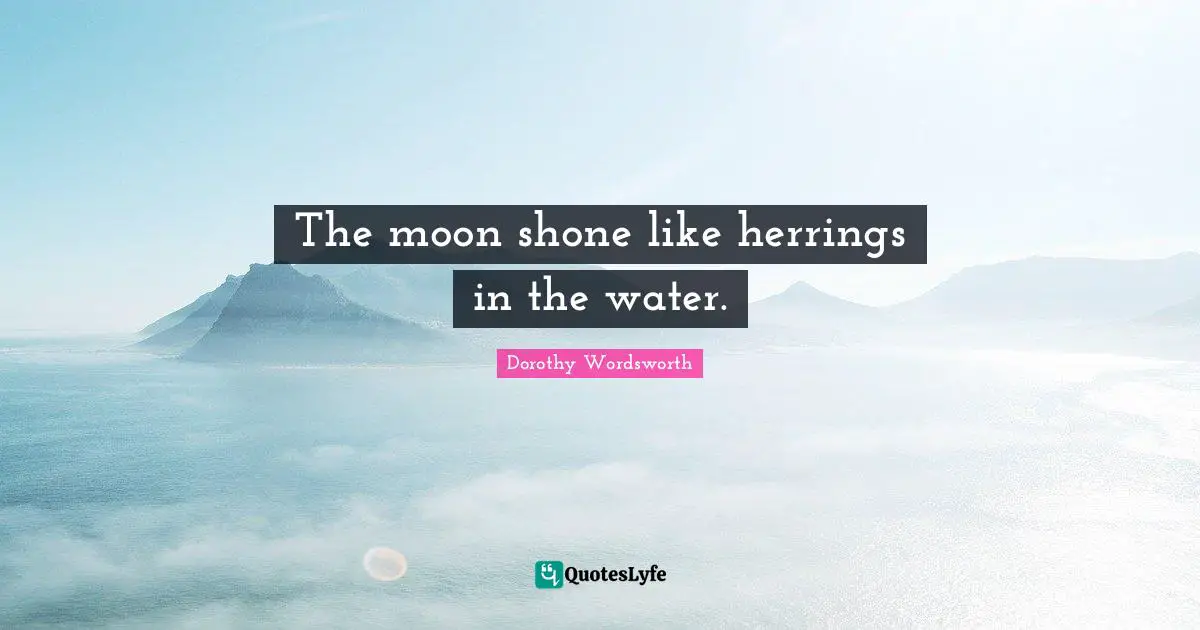 The moon shone like herrings in the water.