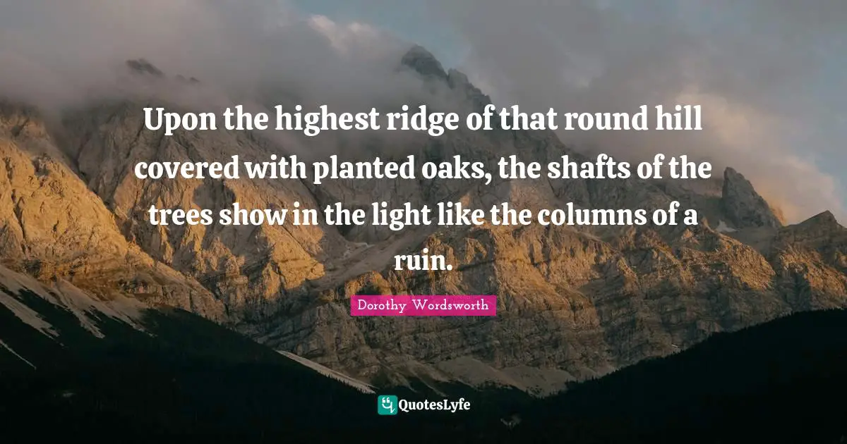 Upon the highest ridge of that round hill covered with planted oaks, the shafts of the trees show in the light like the columns of a ruin.
