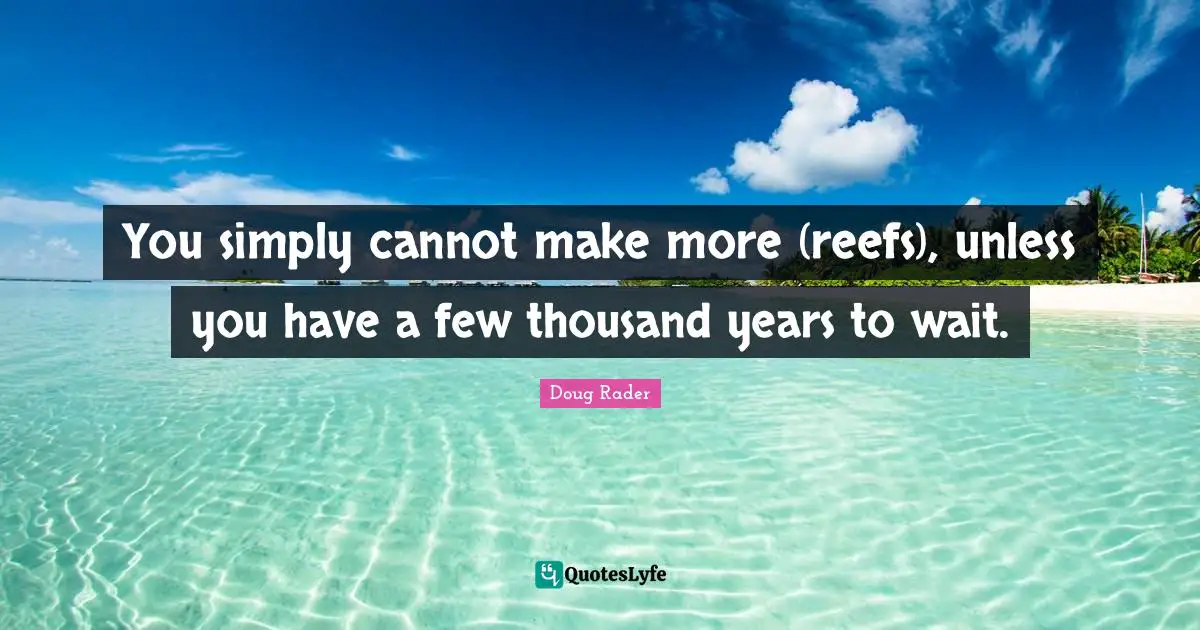 You simply cannot make more (reefs), unless you have a few thousand years to wait.