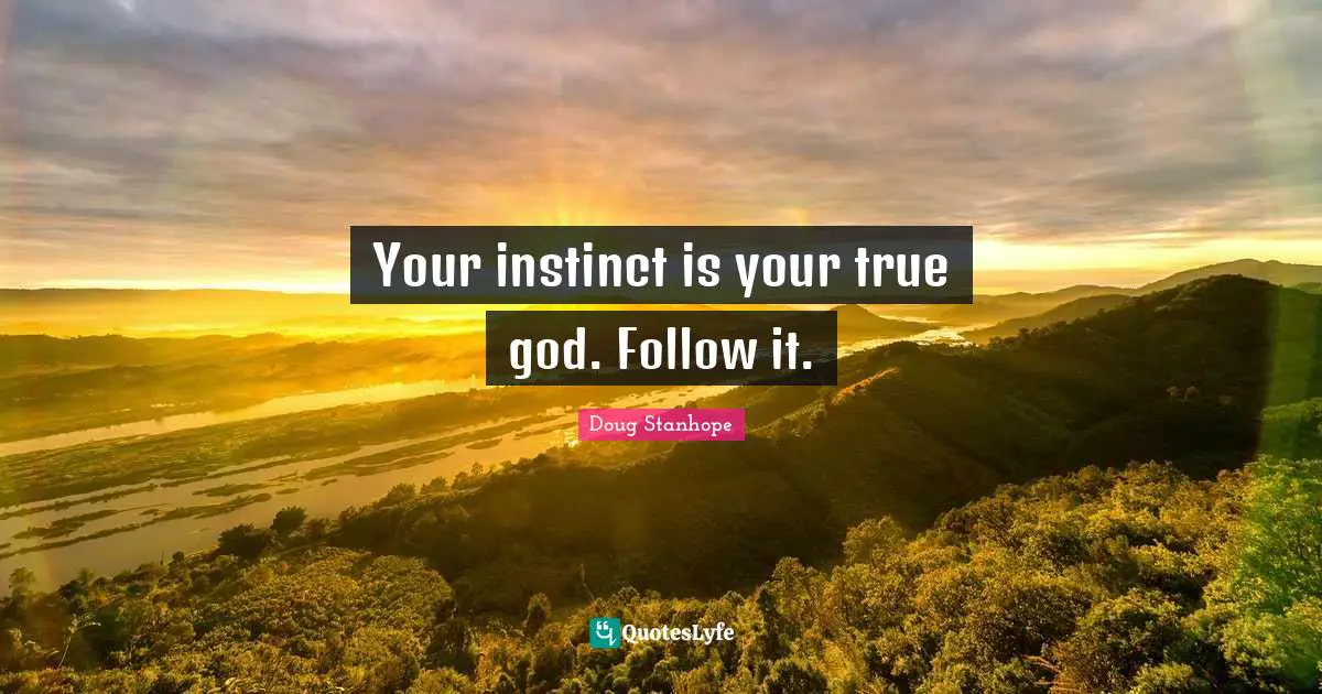 Your instinct is your true god. Follow it.