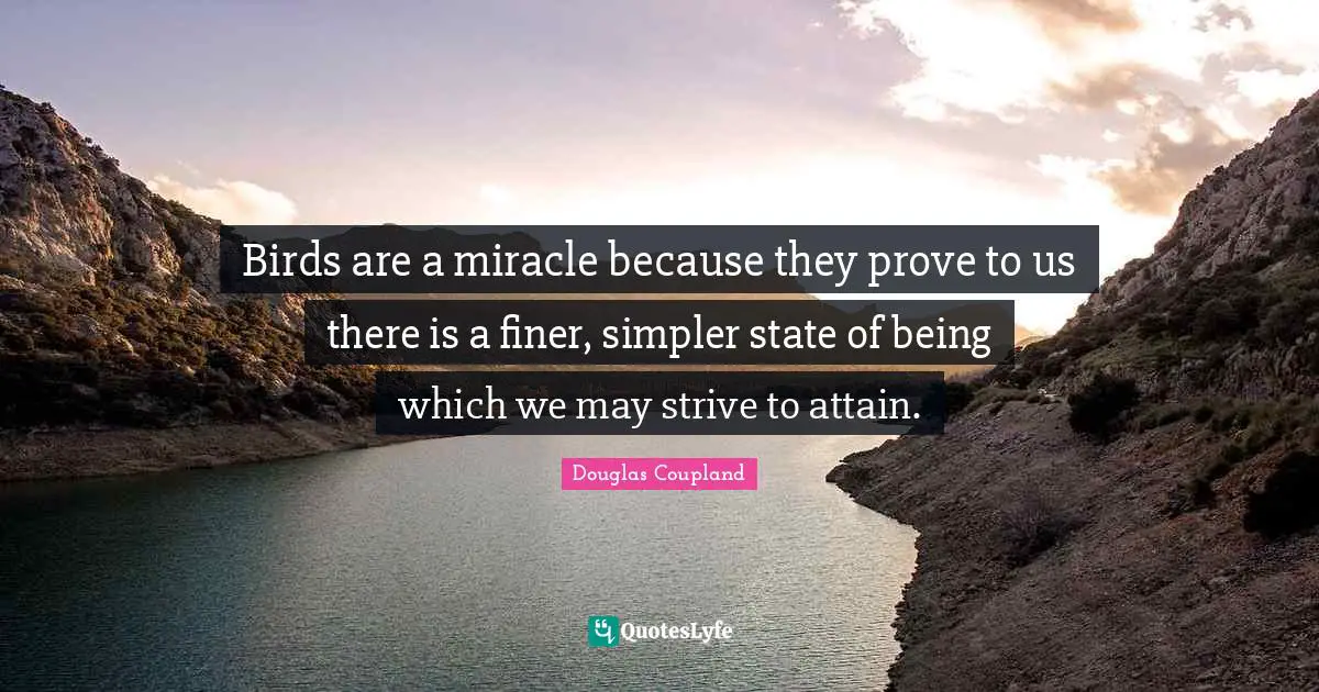 Birds are a miracle because they prove to us there is a finer, simpler state of being which we may strive to attain.