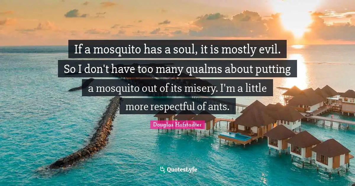 If a mosquito has a soul, it is mostly evil. So I don't have too many qualms about putting a mosquito out of its misery. I'm a little more respectful of ants.