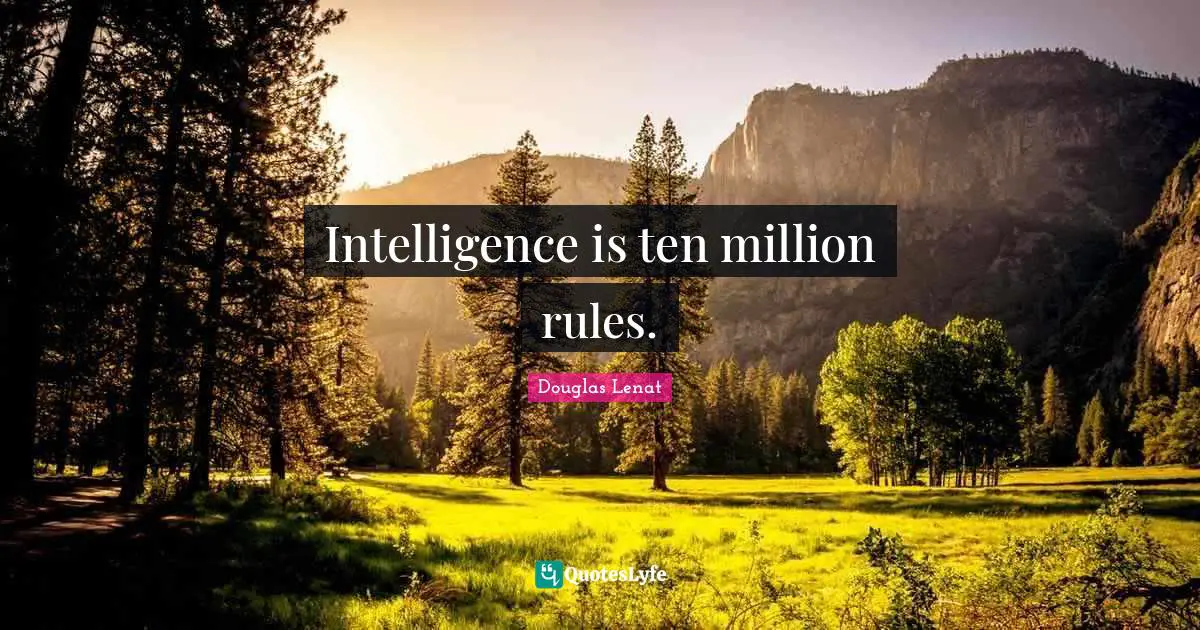 Intelligence is ten million rules.