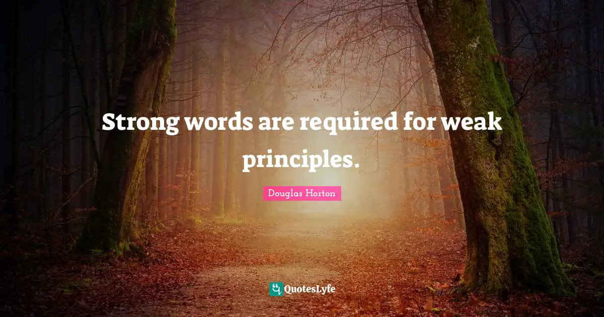 Strong words are required for weak principles.