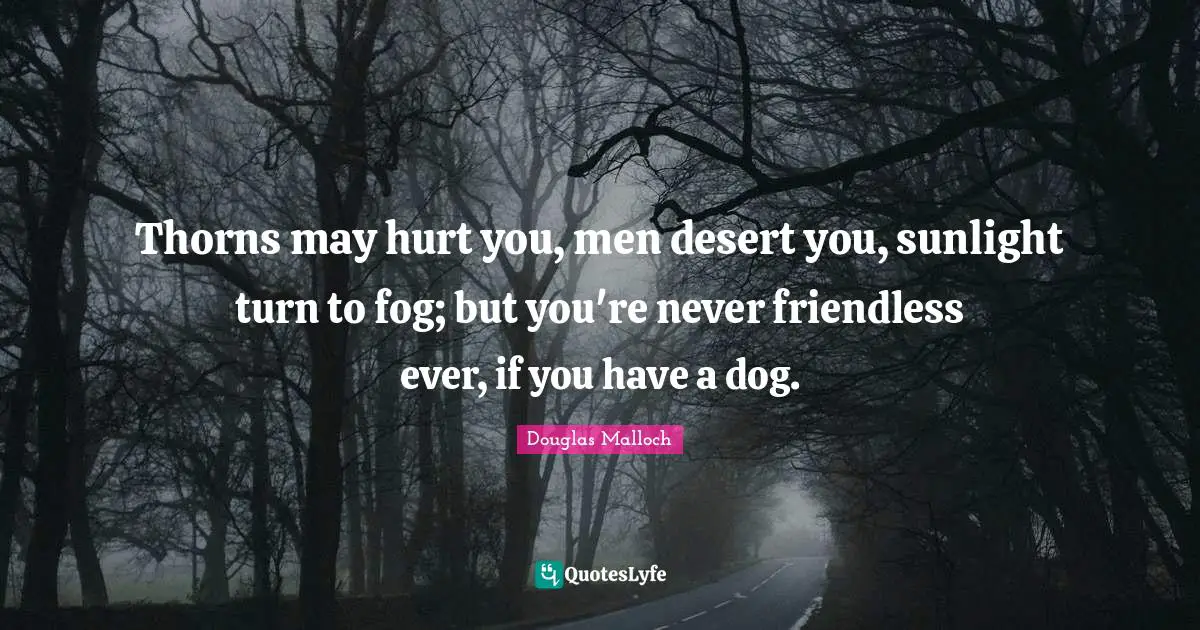 Sunlight Quotes: "Thorns may hurt you, men desert you, sunlight turn to fog; but you're never friendless ever, if you have a dog."