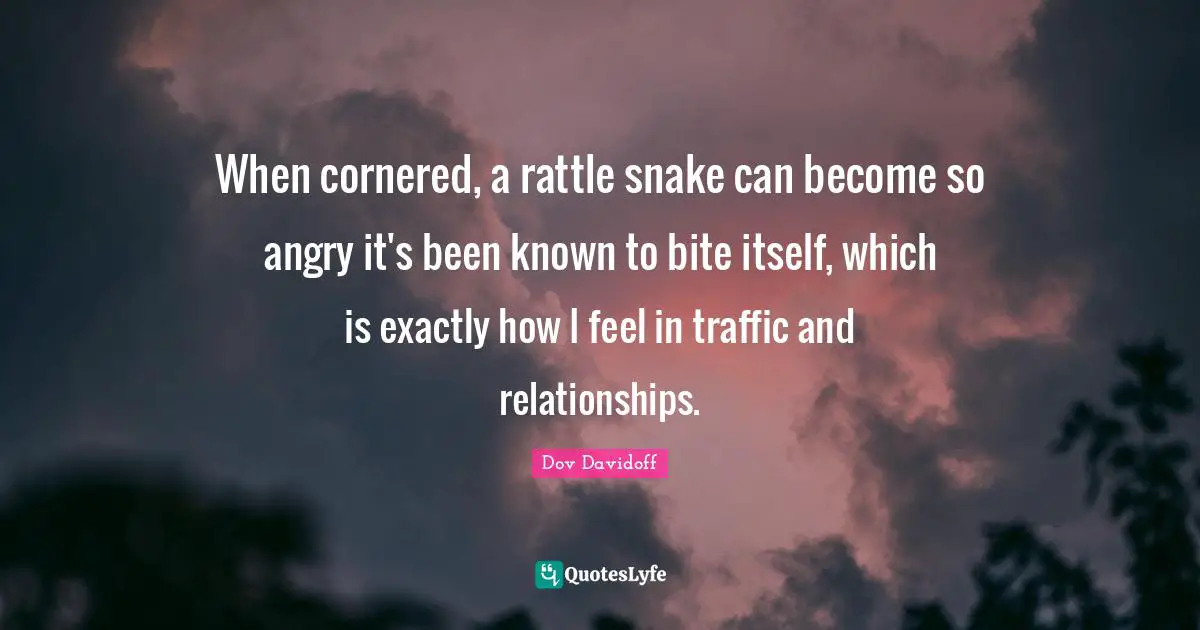 When cornered, a rattle snake can become so angry it's been known to bite itself, which is exactly how I feel in traffic and relationships.