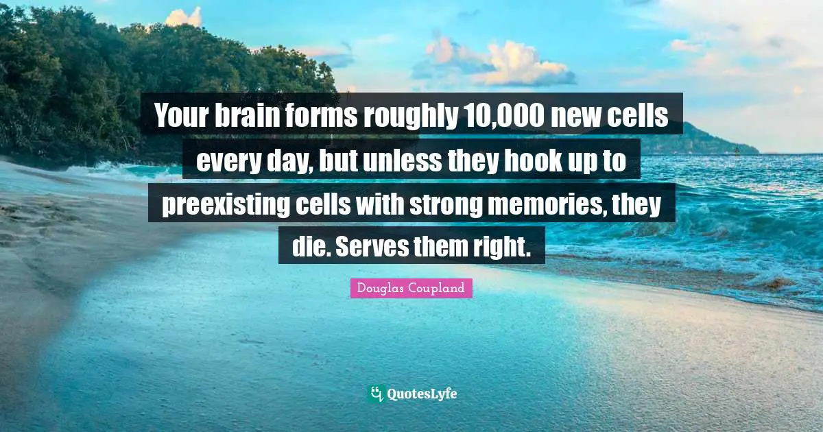 Your brain forms roughly 10,000 new cells every day, but unless they hook up to preexisting cells with strong memories, they die. Serves them right.