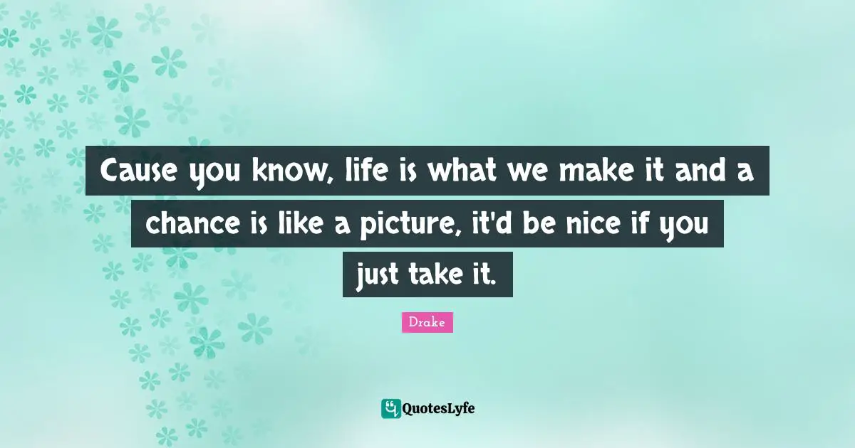 Cause you know, life is what we make it and a chance is like a picture, it'd be nice if you just take it.