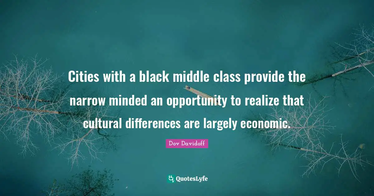 Cities with a black middle class provide the narrow minded an opportunity to realize that cultural differences are largely economic.