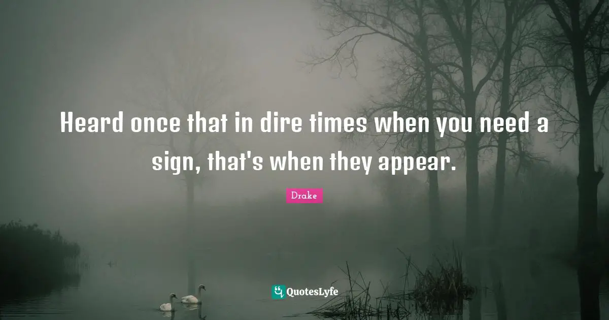 Heard once that in dire times when you need a sign, that's when they appear.