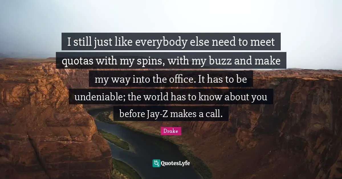 I still just like everybody else need to meet quotas with my spins, with my buzz and make my way into the office. It has to be undeniable; the world has to know about you before Jay-Z makes a call.