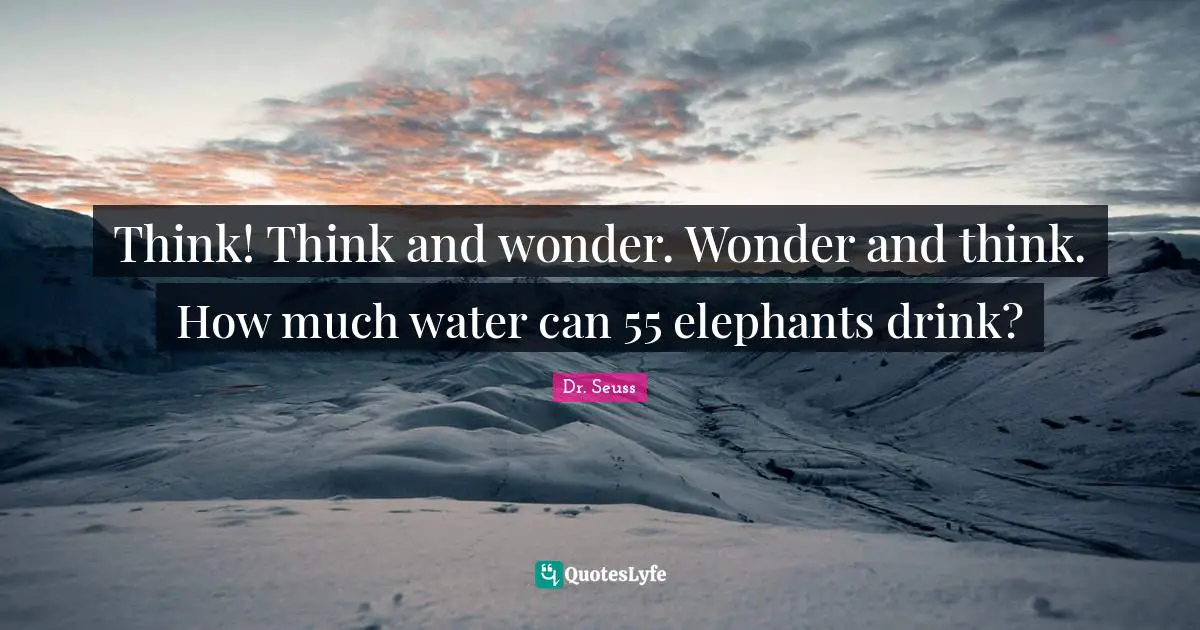 Think! Think and wonder. Wonder and think. How much water can 55 elephants drink?