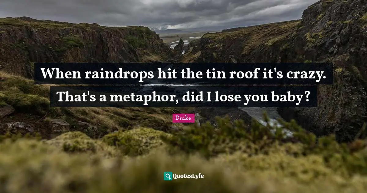 Raindrops Quotes: "When raindrops hit the tin roof it's crazy. That's a metaphor, did I lose you baby?"