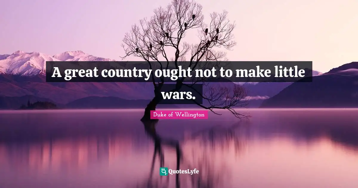 A great country ought not to make little wars.
