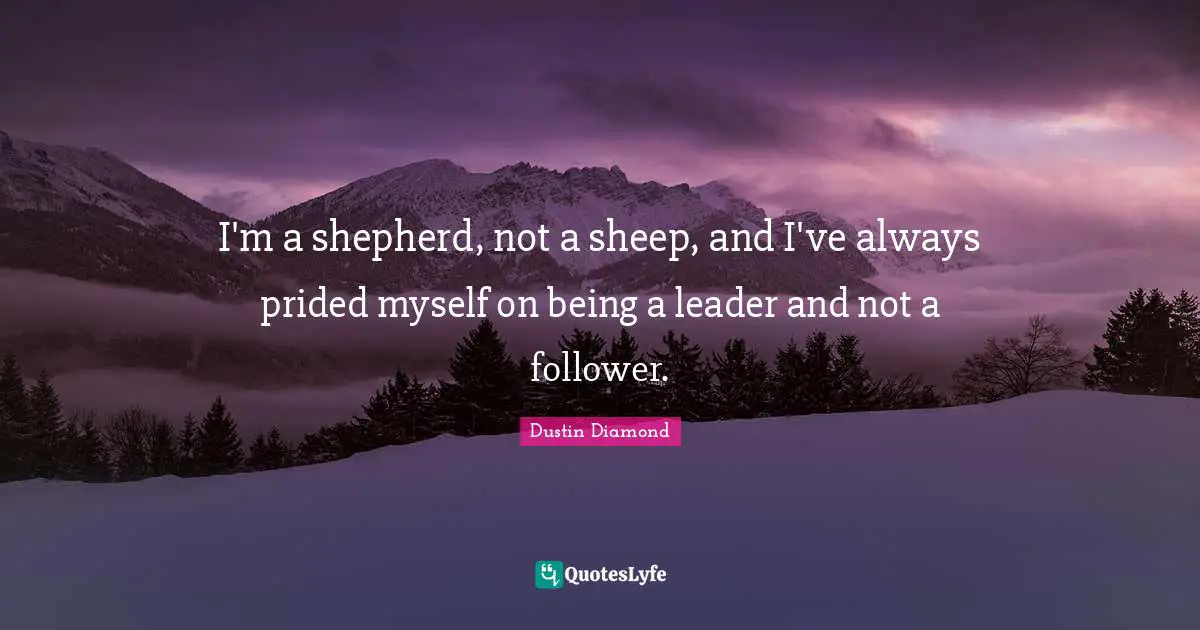 I'm a shepherd, not a sheep, and I've always prided myself on being a leader and not a follower.