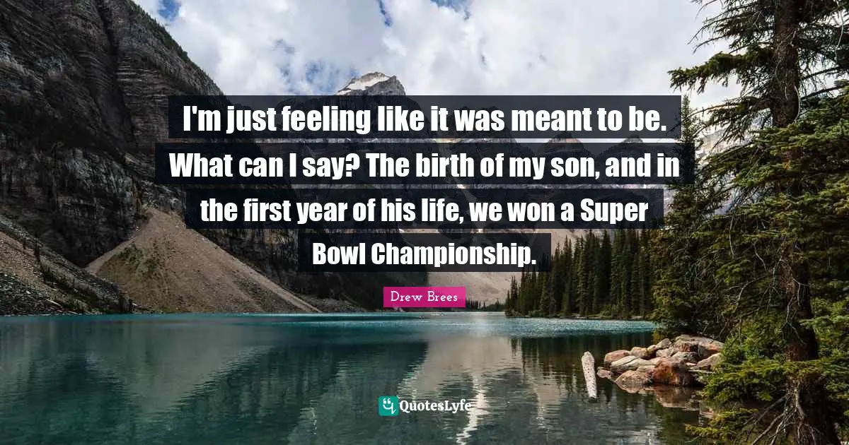 I'm just feeling like it was meant to be. What can I say? The birth of my son, and in the first year of his life, we won a Super Bowl Championship.