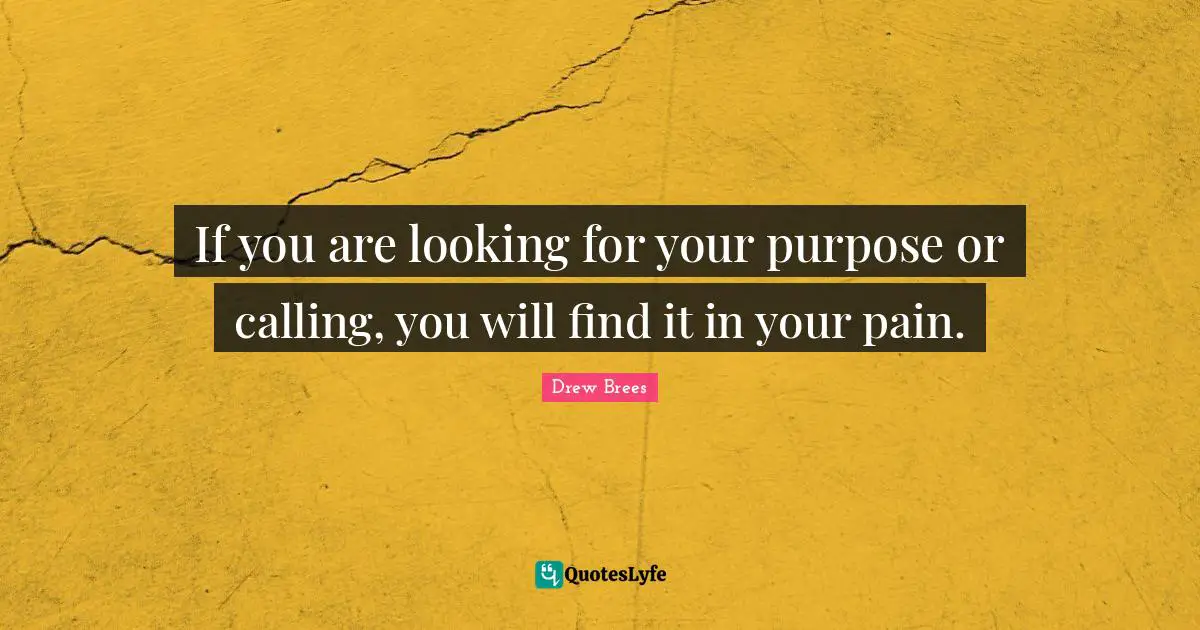 If you are looking for your purpose or calling, you will find it in your pain.
