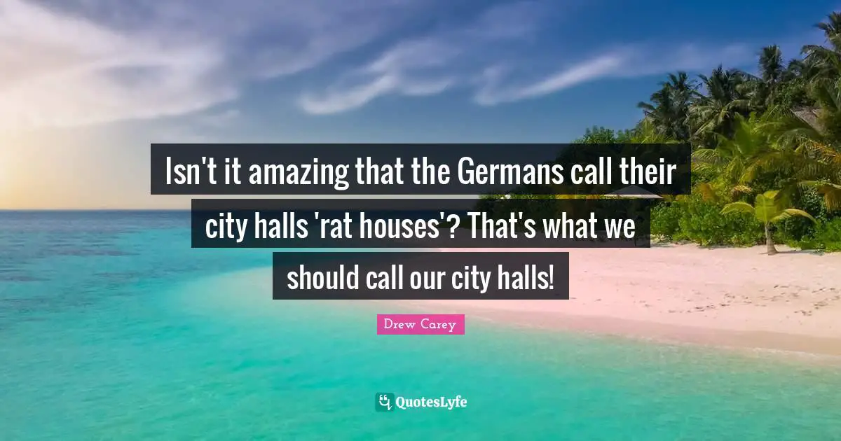 Isn't it amazing that the Germans call their city halls 'rat houses'? That's what we should call our city halls!