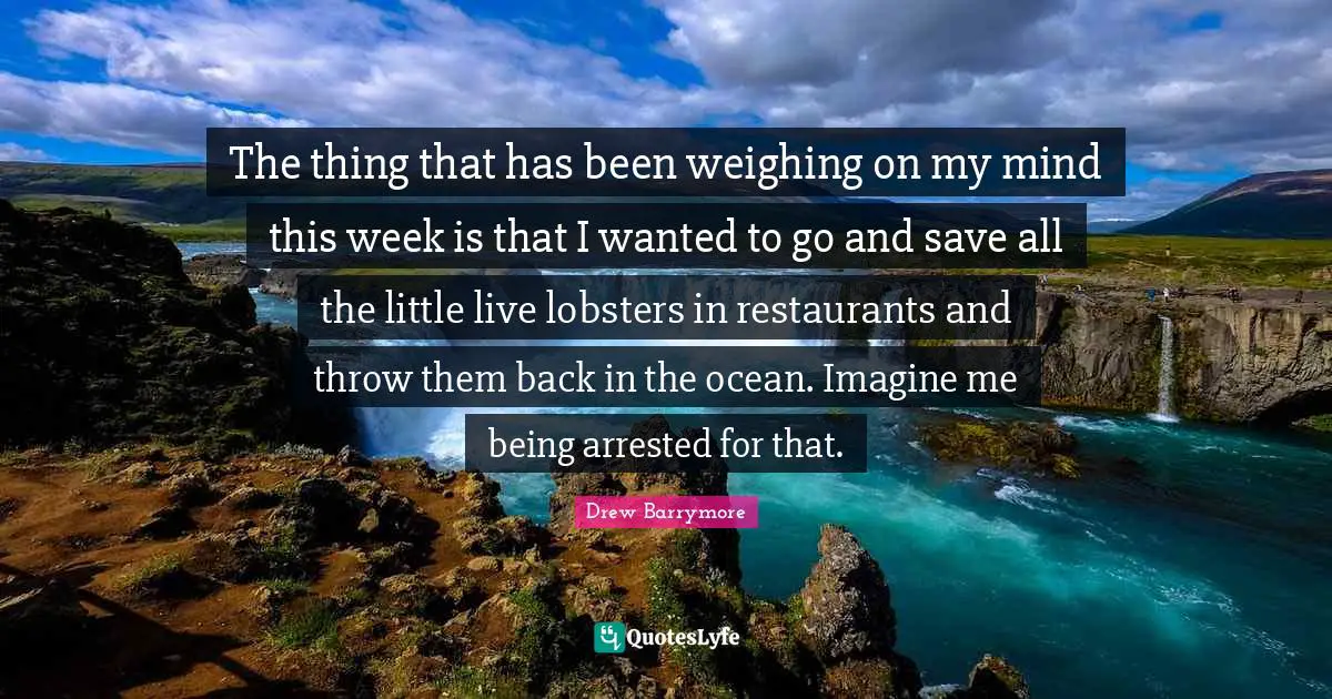 The thing that has been weighing on my mind this week is that I wanted to go and save all the little live lobsters in restaurants and throw them back in the ocean. Imagine me being arrested for that.
