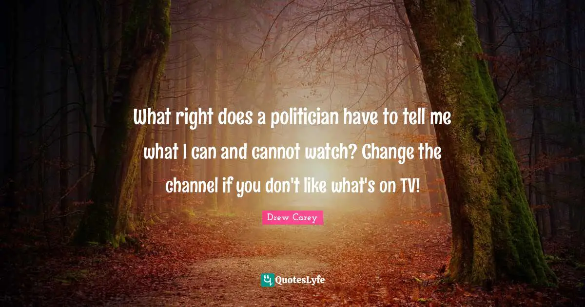 What right does a politician have to tell me what I can and cannot watch? Change the channel if you don't like what's on TV!