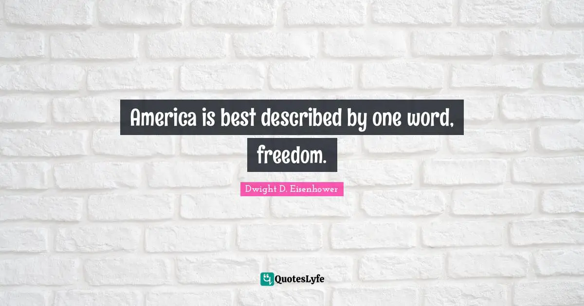 America is best described by one word, freedom.