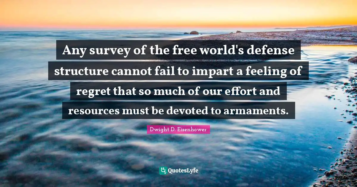 Any survey of the free world's defense structure cannot fail to impart a feeling of regret that so much of our effort and resources must be devoted to armaments.