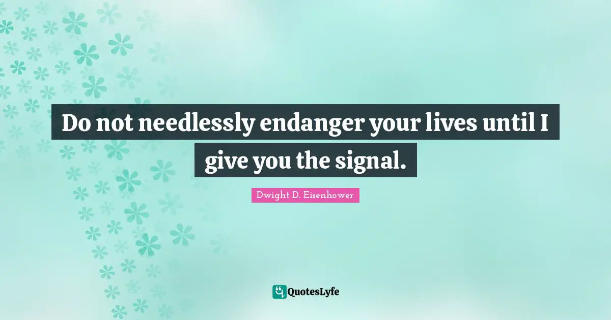 Do not needlessly endanger your lives until I give you the signal.