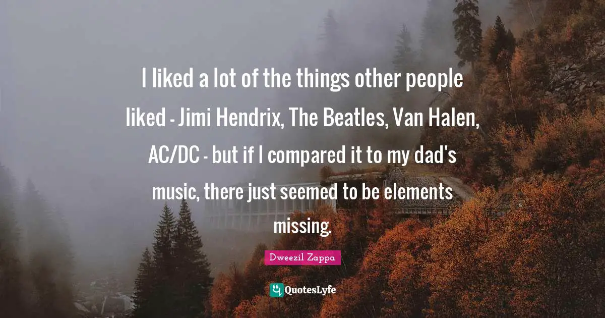 I liked a lot of the things other people liked - Jimi Hendrix, The Beatles, Van Halen, AC/DC - but if I compared it to my dad's music, there just seemed to be elements missing.