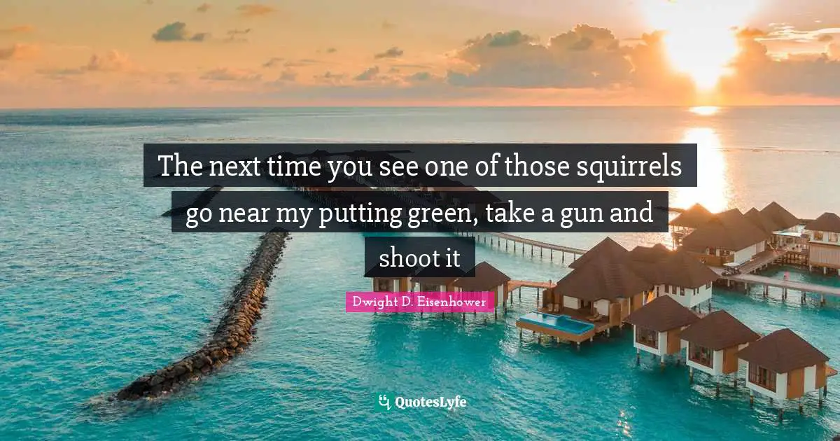 The next time you see one of those squirrels go near my putting green, take a gun and shoot it