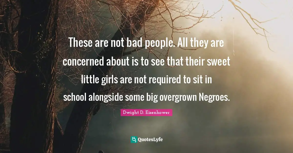 These are not bad people. All they are concerned about is to see that their sweet little girls are not required to sit in school alongside some big overgrown Negroes.
