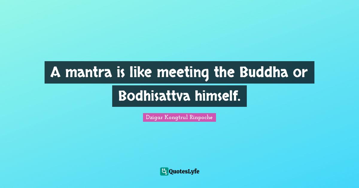 A mantra is like meeting the Buddha or Bodhisattva himself.