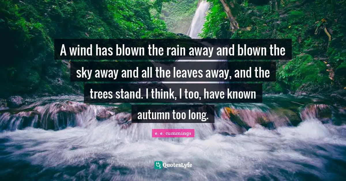 A wind has blown the rain away and blown the sky away and all the leaves away, and the trees stand. I think, I too, have known autumn too long.