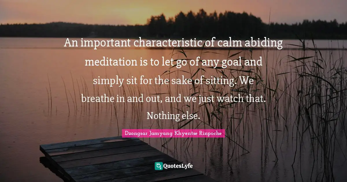 Abiding Quotes: "An important characteristic of calm abiding meditation is to let go of any goal and simply sit for the sake of sitting. We breathe in and out, and we just watch that. Nothing else."