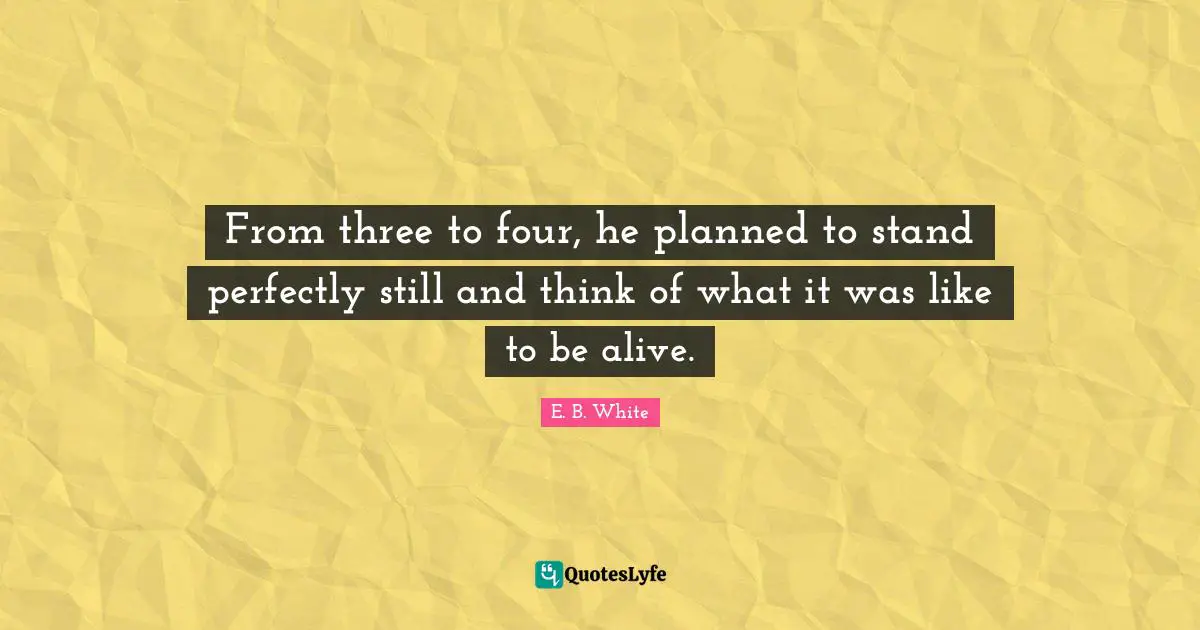 From three to four, he planned to stand perfectly still and think of what it was like to be alive.