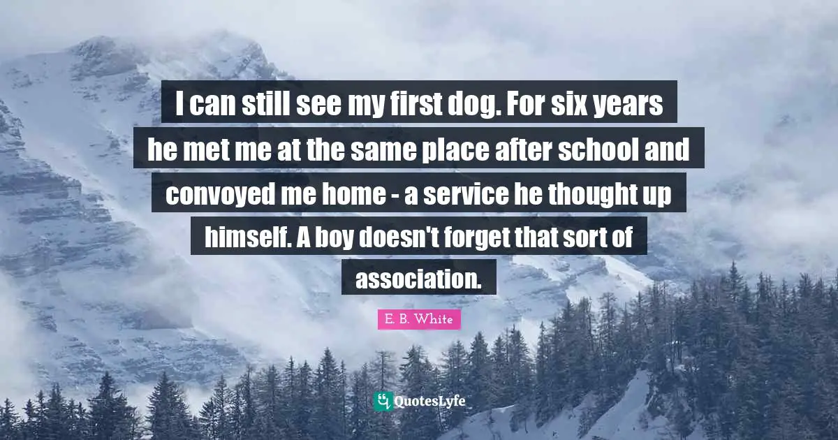 I can still see my first dog. For six years he met me at the same place after school and convoyed me home - a service he thought up himself. A boy doesn't forget that sort of association.