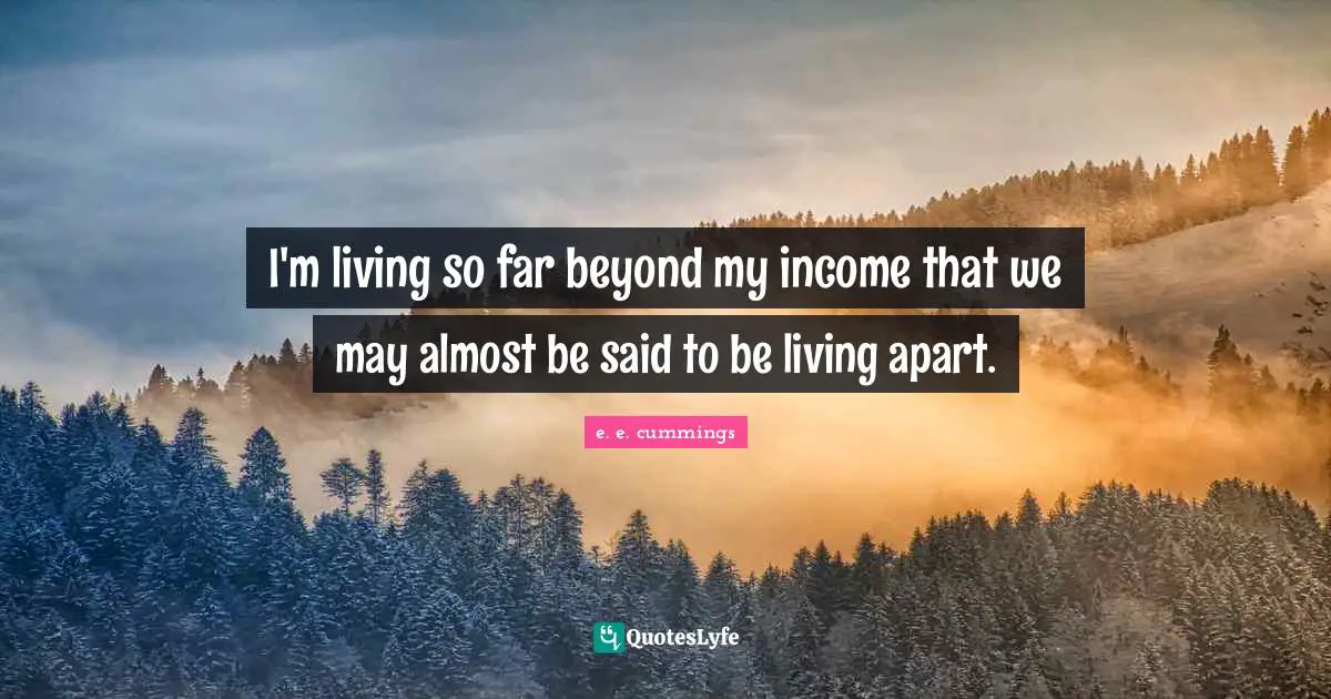 I'm living so far beyond my income that we may almost be said to be living apart.