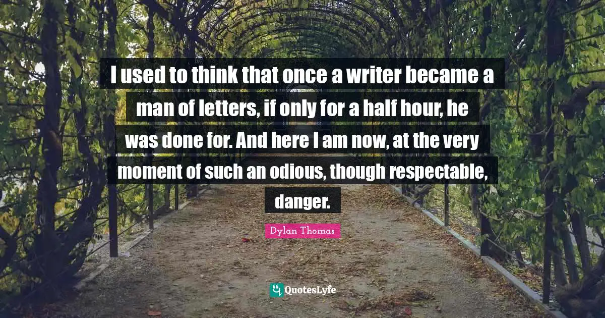I used to think that once a writer became a man of letters, if only for a half hour, he was done for. And here I am now, at the very moment of such an odious, though respectable, danger.
