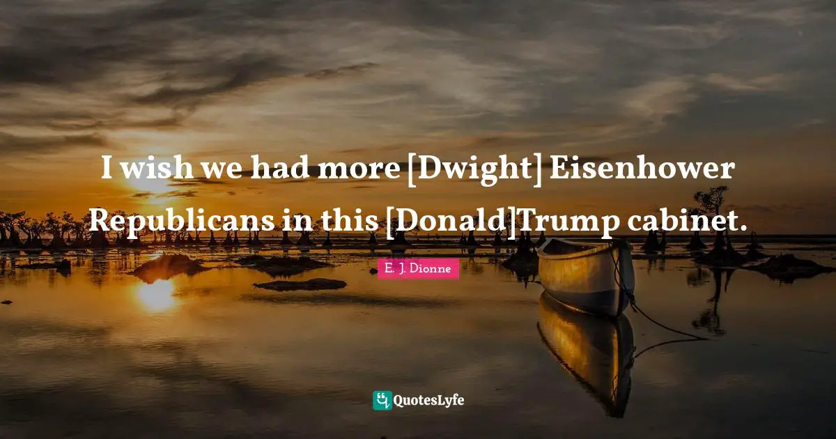 I wish we had more [Dwight] Eisenhower Republicans in this [Donald]Trump cabinet.