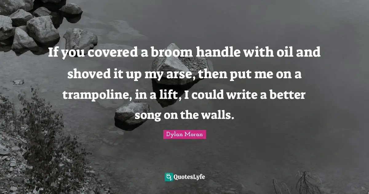 If you covered a broom handle with oil and shoved it up my arse, then put me on a trampoline, in a lift, I could write a better song on the walls.