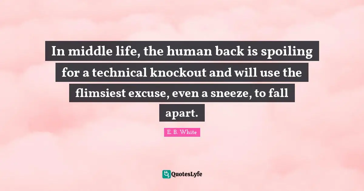 In middle life, the human back is spoiling for a technical knockout and will use the flimsiest excuse, even a sneeze, to fall apart.