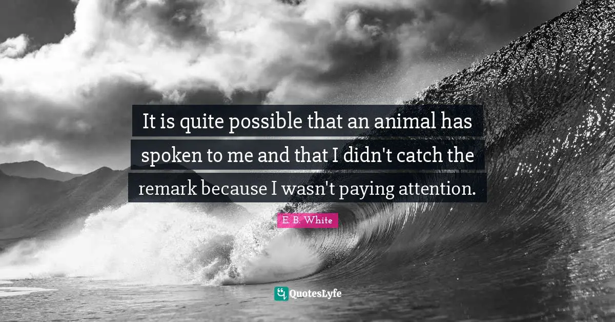 It is quite possible that an animal has spoken to me and that I didn't catch the remark because I wasn't paying attention.