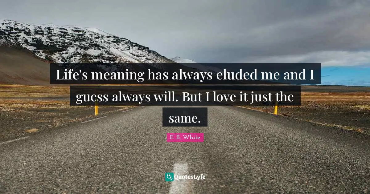 Life's meaning has always eluded me and I guess always will. But I love it just the same.