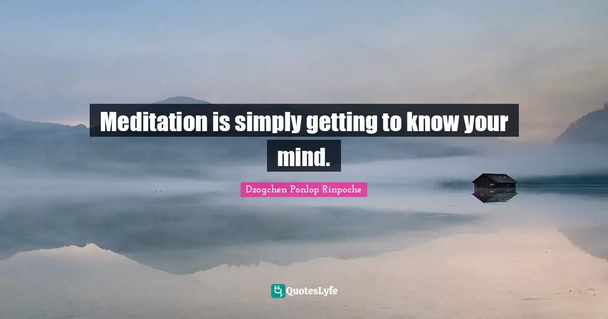 Dzogchen Ponlop Rinpoche Quotes: "Meditation is simply getting to know your mind."