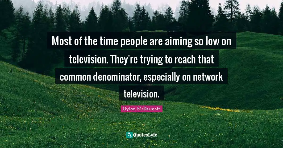 Most of the time people are aiming so low on television. They're trying to reach that common denominator, especially on network television.
